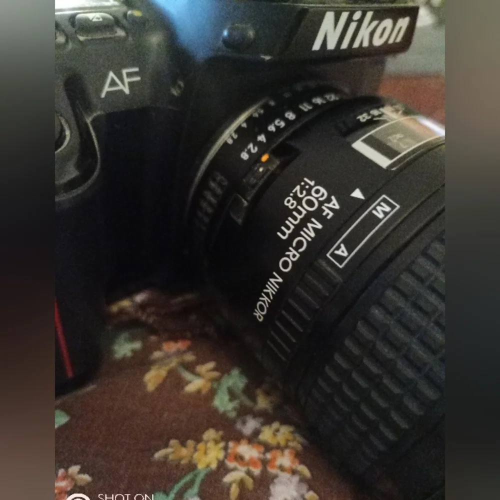 NIKON N6006